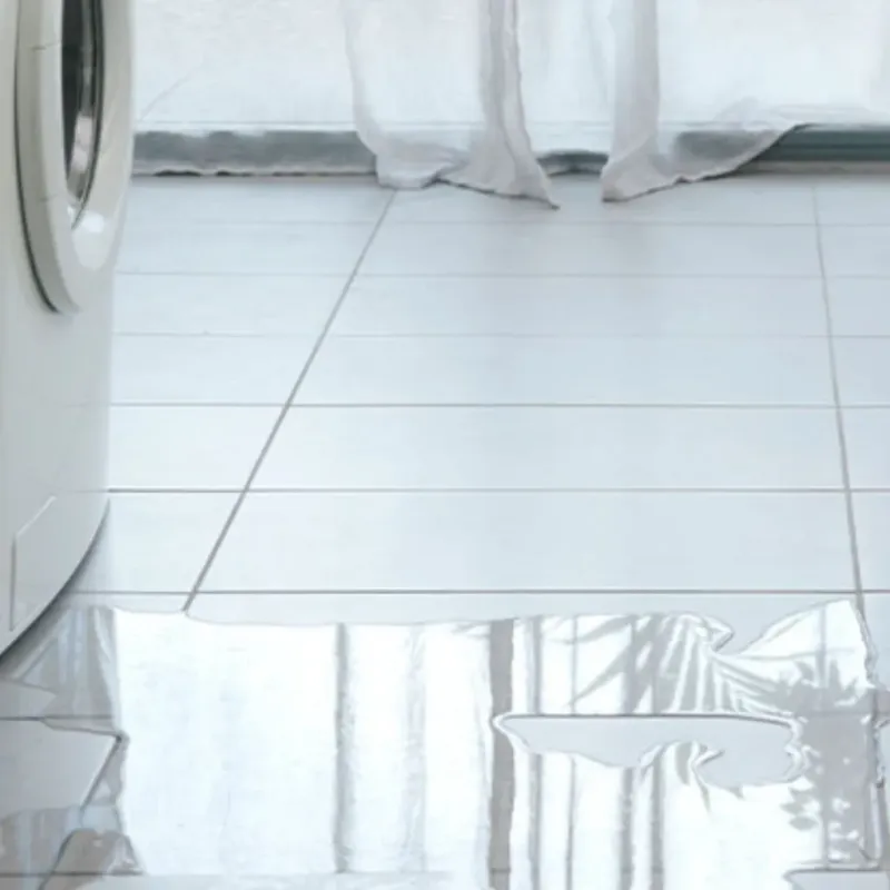Appliance Leak Cleanup in Jacksboro, TN