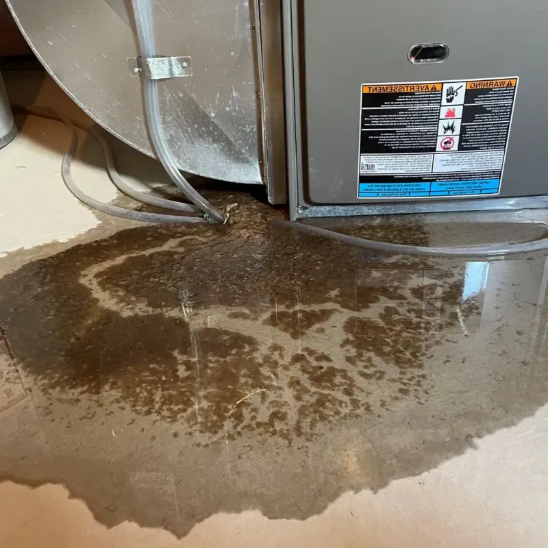 Pipe Burst and Leak Restoration in Jacksboro, TN